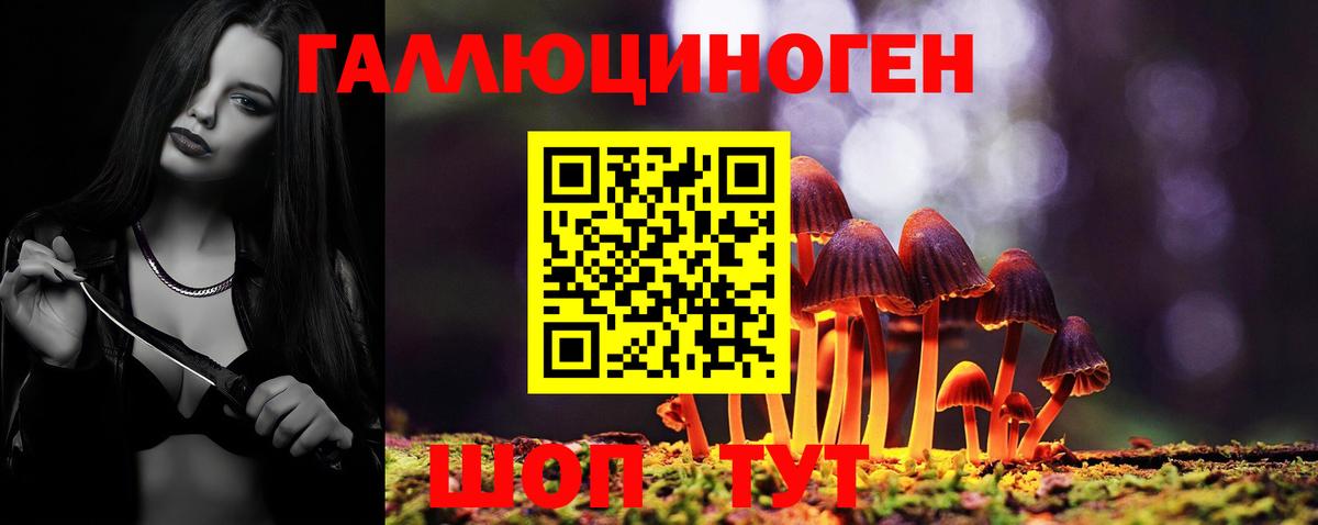 Калуга  Псилоцибиновые грибы MAGIC MUSHROOMS  Вход с VPN 