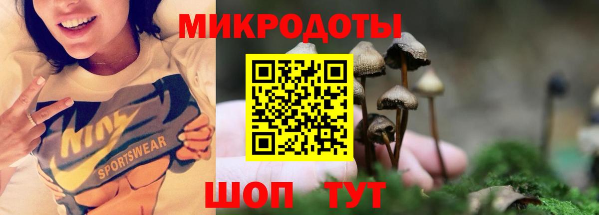 Псилоцибиновые грибы MAGIC MUSHROOMS Калуга